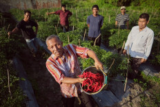 Halfway through 2020, the clock is ticking louder than ever when it comes to the Sustainable Development Goals (SDGs).