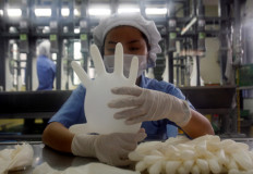 Amid virus crisis, US bars imports of Malaysia's Top Glove over labor issues