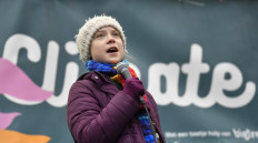 EU farm bill 'fuels ecological destruction', Thunberg says