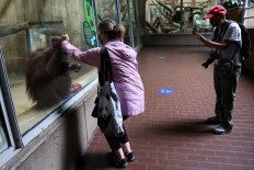 US National Zoo in Washington reopens, despite expanded COVID-19 measures
