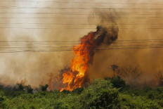 Handout picture released by Mato Grosso do Sul State Government showing a forest fire at the Pantanal ecoregion of Brazil, municipality of Corumba, Mato Grosso do Sul state, on October 30, 2019. 