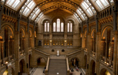 London's Natural History Museum is dusting off the blue whale that soars above its central hall, its dinosaur skeletons and thousands of other exhibits in preparation for re-opening next month after COVID-19 forced its closure in March.