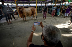 The spirit of sacrifice