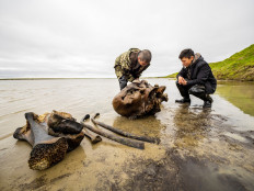 Woolly mammoth skeleton&nbsp;found in lake in Russia's Arctic