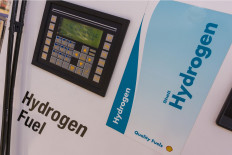 Paint it green: The new color of economic cooperation