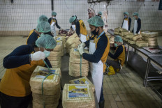 ‘Time to give back’: Muslims participate in Idul Adha rituals despite pandemic