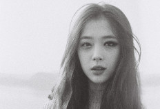 Documentary on life of K-pop singer Sulli