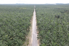  Palm oil row fuels Swiss vote on Indonesia trade deal 
