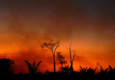 Smoke rises from a burnt area of land a the Xingu Indigenous Park, Mato Grosso state, Brazil, in the Amazon basin, on August 6, 2020.