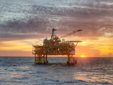 Expert expresses doubt over projected oil, gas demand growth