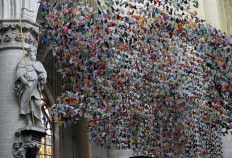 20,000 paper birds help fund COVID-19 units at Belgium hospital