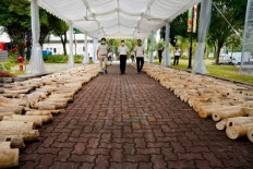 Singapore crushes massive ivory haul on eve of World Elephant Day