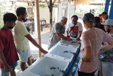 North Bali Eco Hub: A new sustainable community project with a grand vision