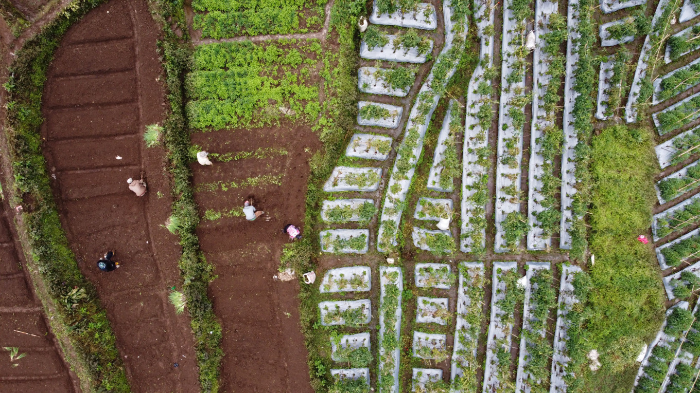 A land without farmers: Indonesia’s agricultural conundrum