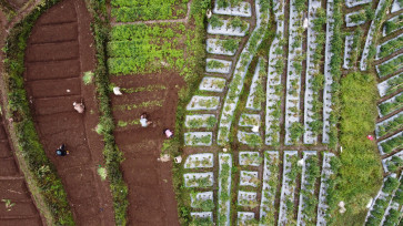 A land without farmers: Indonesia&rsquo;s agricultural conundrum