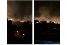  Labuan Bajo wildfire traps dozens of tourists for 5 hours at local dive resort