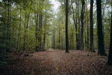 Big payoff if Nature 'restored' in the right places