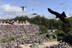 In this file photo taken on August 14, 2018 birds perform during a show at French historical theme park Le Puy du Fou, in Les Epesses, western France. 