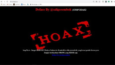 Please refrain from accusing govt over recent hacker attacks: Ministry