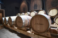 Italian wine exports withered by virus