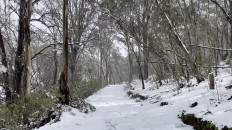 Antarctic winds trigger rare snowfall across southeast Australia