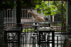 Vietnam zoo turns to donations, growing food to survive pandemic