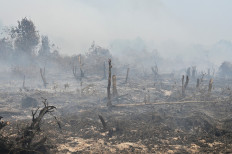 Smoldering peatland is pictured in Kampar, Riau province, on Sept. 17, 2019.
