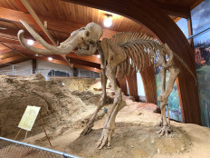 How low did it go? Scientists calculate Earth's Ice Age temperatures