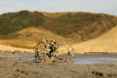 Mud eruption in Blora poisons four residents, buries 19 buffaloes