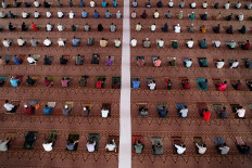  What next for COVID-19 after five million deaths? 