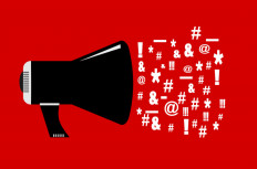 'Anjay' possibly criminal 'verbal violence', child protection commission says