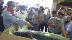 Indonesia exports 2.2 tons of tuna from Maluku to Japan