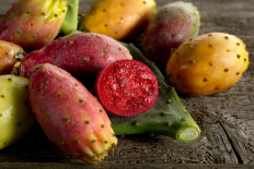The prickly pear and its natural anti-aging properties