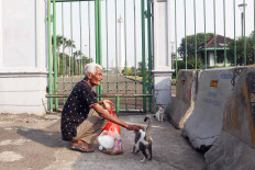 Pendi, 72, feeds stray cats outside the National Monument (Monas) complex in Central Jakarta, on September. 2. 2020 Every week, Pendi receives Rp 70,000 (US$4.74) from a donor to buy cat food and feed around 150 stray cats in the area. JP/Dhoni Setiawan