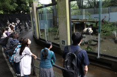Tokyo zoo reveals new panda enclosure
