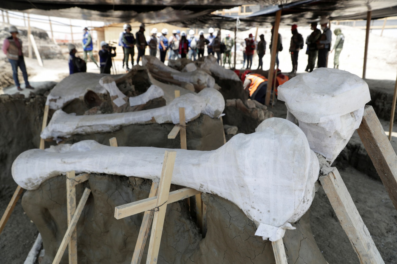 Mexican airport site emerges as major graveyard of Ice Age mammoths - Environment - The Jakarta Post