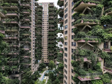 Welcome to the jungle: Plants overrun Chinese apartment blocks