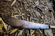 Police arrest mass organization members for stabbing prosecutor