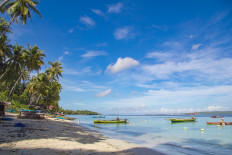 Farmers harvest seaweed in Baubau, Buton, Southeast Sulawesi, on June 11, 2019.