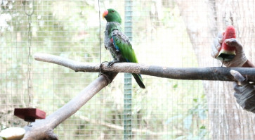 Yogyakarta rescue center fights to save animals’ lives through thick and thin