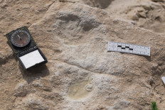 Human footprints dating back 120,000 years found in Saudi Arabia