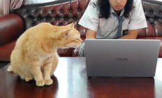 EdTech uses online games to teach students during pandemic