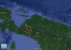 Activists call on govt to investigate fatal Intan Jaya shootout