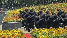 BIN in the shadows of ultra vires