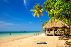 Domestic tourism is still happening in Thailand, where coronavirus numbers are relatively low, with locals and expats heading to near-empty resorts -- including Koh Chang island (pictured), famed for its sandy beaches and turquoise waters.