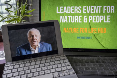 David Attenborough leads call for world to invest $500 billion a year to protect nature