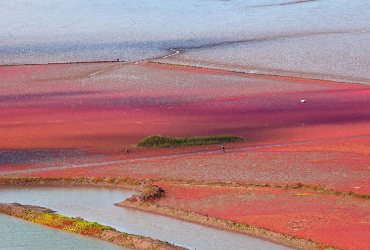 Suncheonman Bay