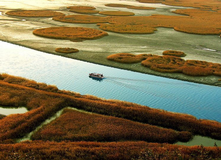 Suncheonman Bay