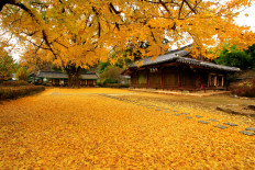 Jeonju Hanok Village
