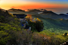 Spring in Boriam Hermitage in Namhae